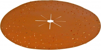 16" Tungsten Carbide Disc (10 Grit)