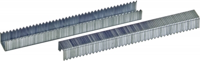 Staples for Hammer Tacker (box of 5,000)